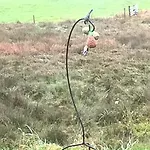 La Fleur Et Le Soleil Frühstückspension Durbuy