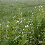 La Fleur Et Le Soleil 3* Durbuy