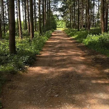 La Fleur Et Le Soleil 3*