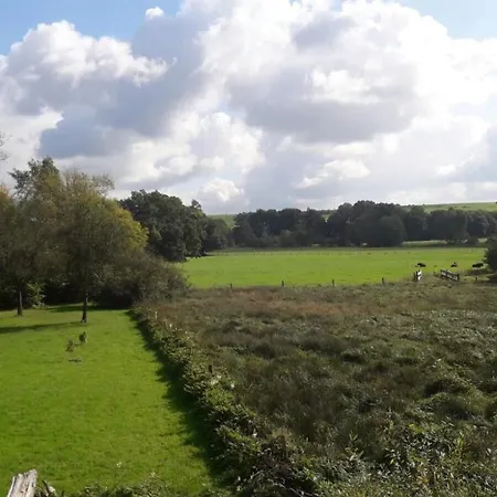 La Fleur Et Le Soleil