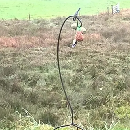 La Fleur Et Le Soleil Bed & Breakfast Durbuy