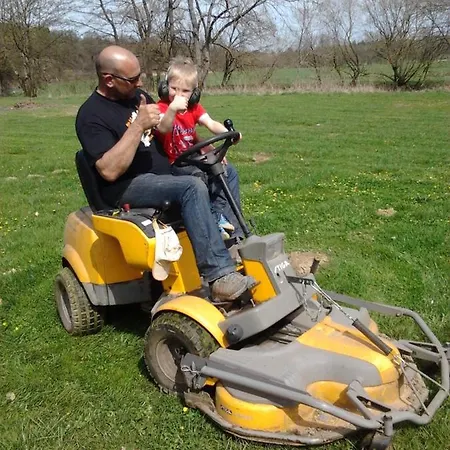 La Fleur Et Le Soleil