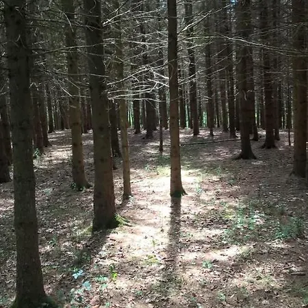 Bed & Breakfast La Fleur Et Le Soleil