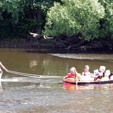 La Fleur Et Le Soleil