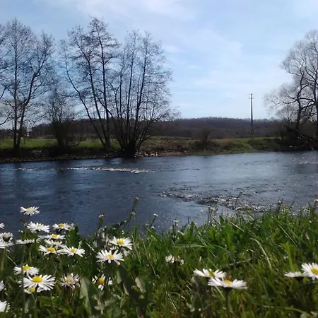 Couette-café La Fleur Et Le Soleil