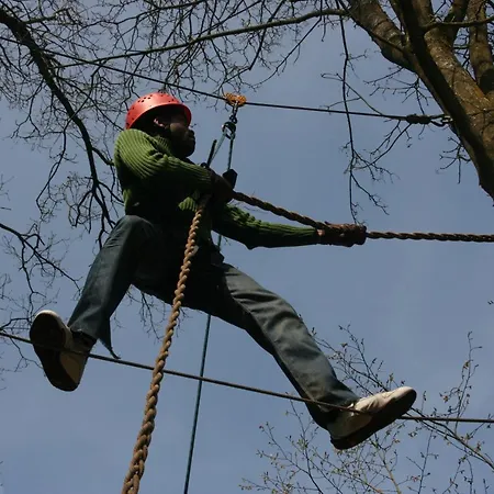 Couette-café La Fleur Et Le Soleil Durbuy