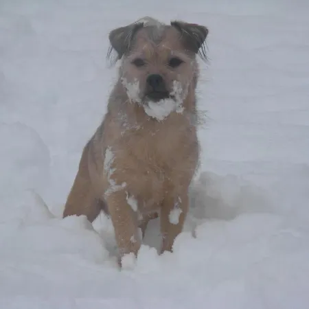 La Fleur Et Le Soleil Bed & Breakfast
