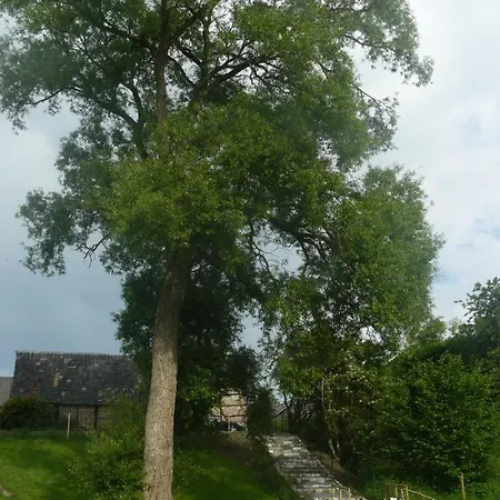 La Fleur Et Le Soleil