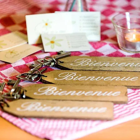 La Fleur Et Le Soleil