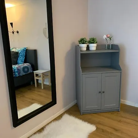 La Fleur Et Le Soleil