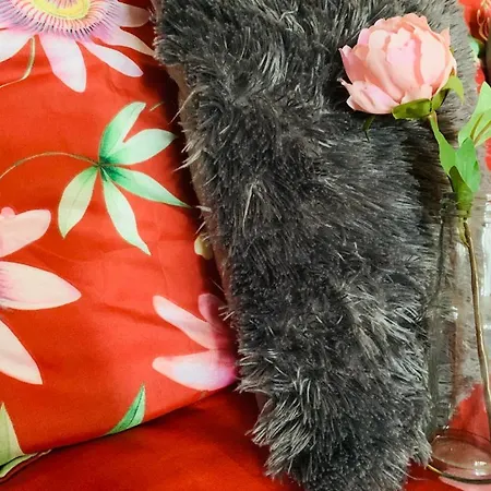 Couette-café La Fleur Et Le Soleil Durbuy