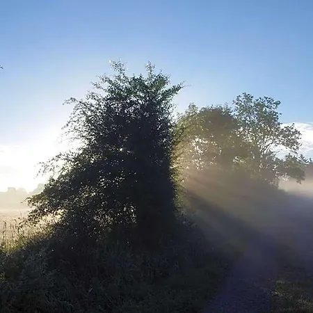 La Fleur Et Le Soleil 3* Durbuy