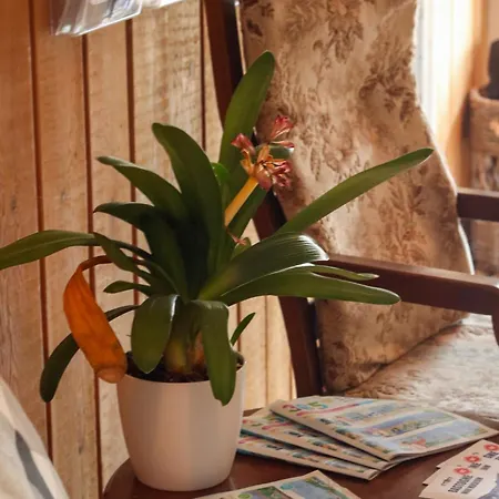 La Fleur Et Le Soleil Bed and breakfast 3*