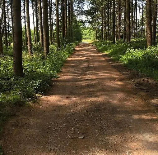 La Fleur Et Le Soleil 3*