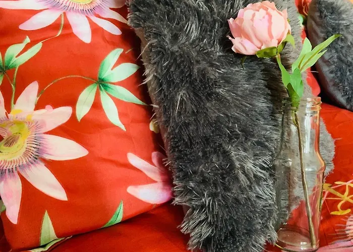 ベッド・アンド・ブレックファスト La Fleur Et Le Soleil デュルビュイ